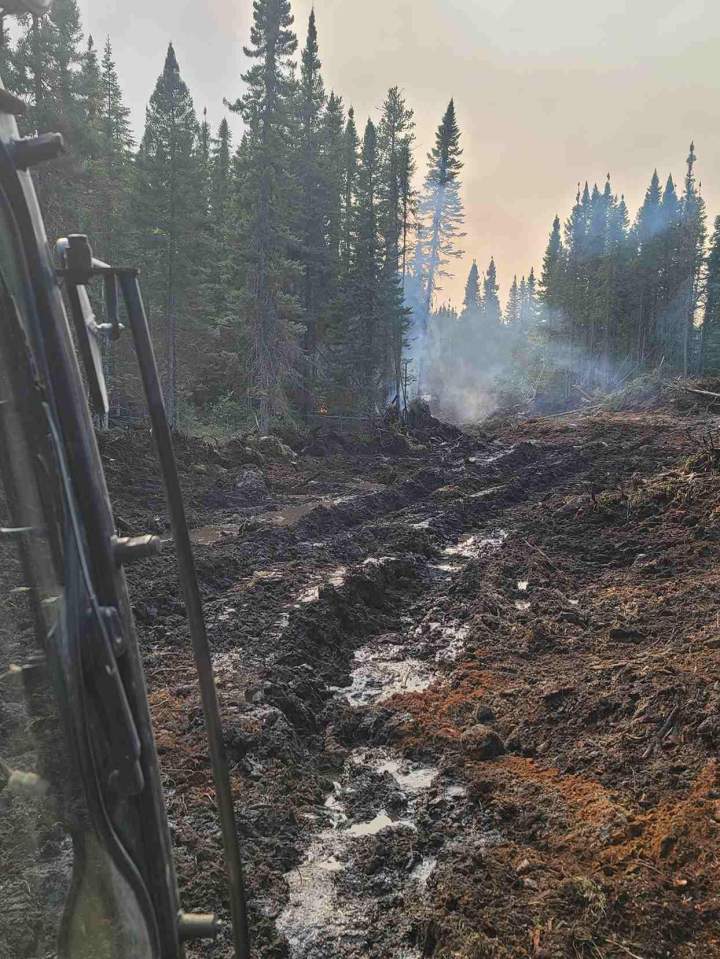 Engin forestier en intervention en forêt Lac Saint-Jean